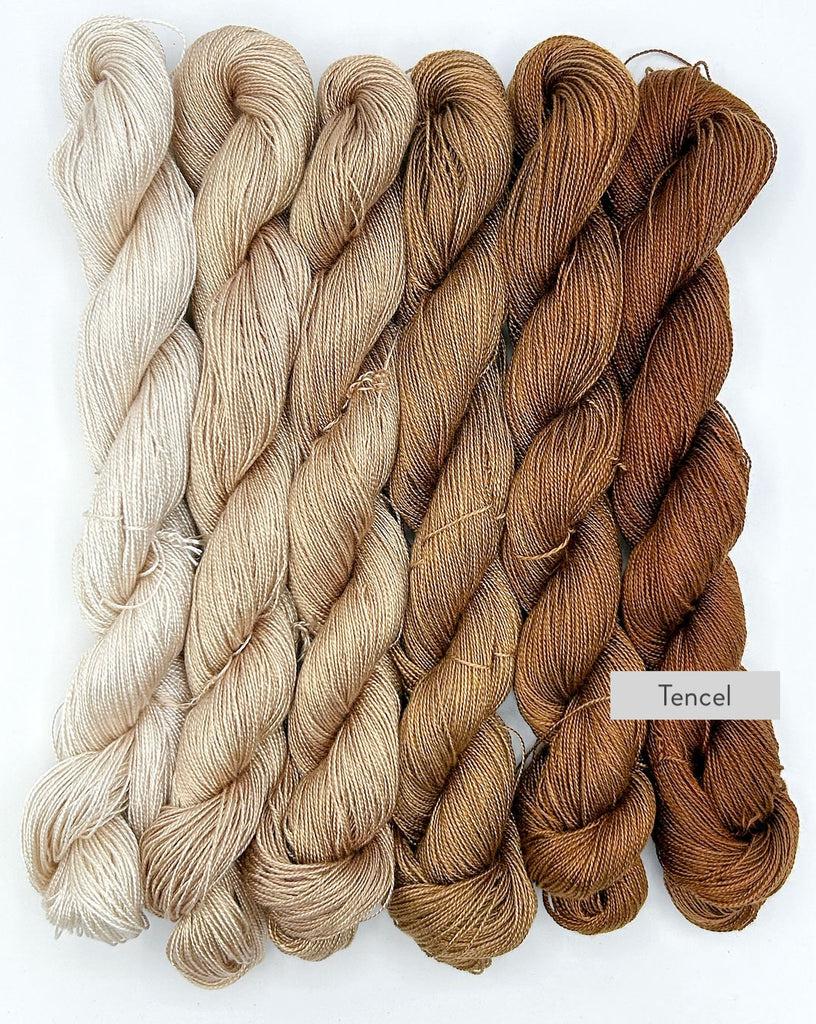 Chocoholic Tencel™ Hand-Dyed Ombré Yarn Palette